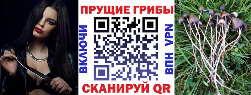 Псилоцибиновые грибы мухоморы Киров